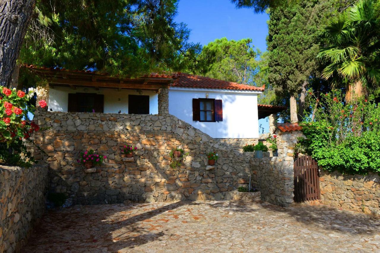 Apartment Traganitsa