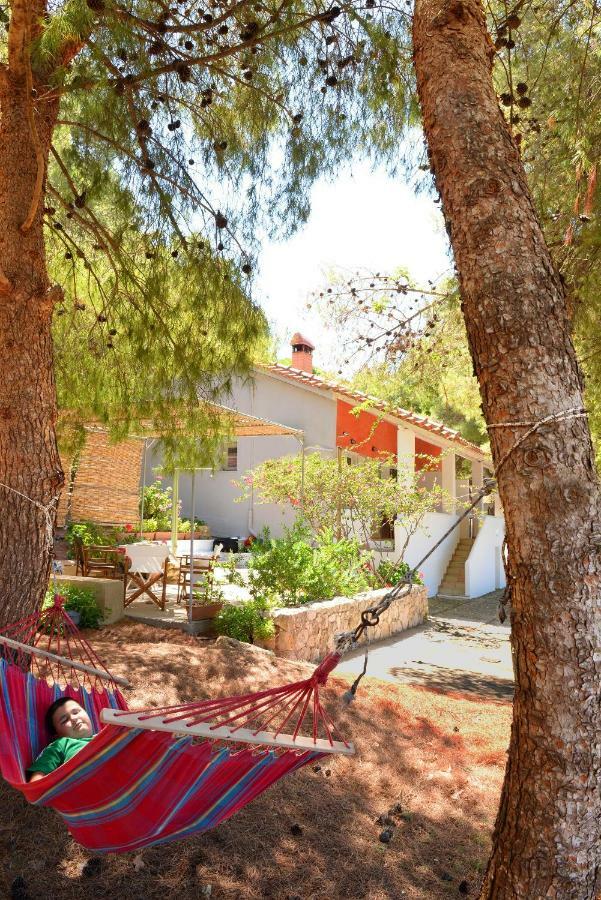 Traganitsa Apartment Tragana (Messenia)